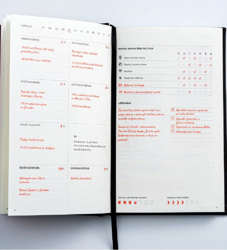 Unikali užrašinė - grožio planuotė "DISCIPLINA"