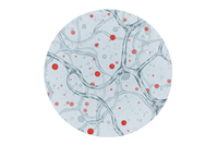 3-jų dydžių Hialurono rūgštys