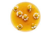 Ramunėlių ekstraktas