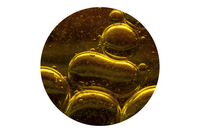 Alyvuogių skvalanas